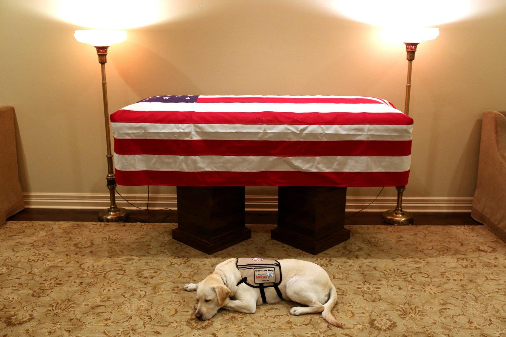 George H. W. Bush: So trauert Hund Sully um sein totes Herrchen