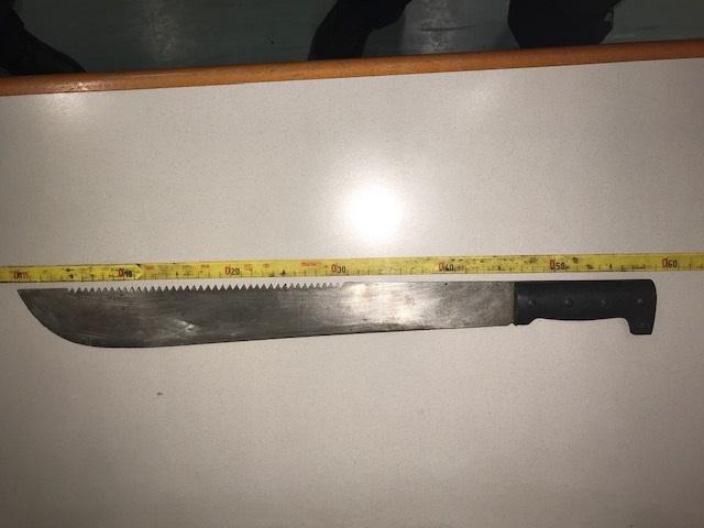 V Mattersburgu moški z mačeto ogrožal sosede, nato pa ga je policija aretirala