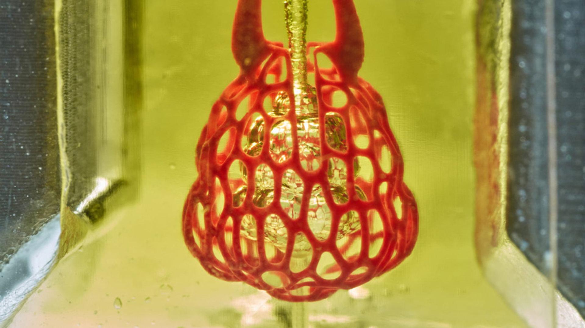 Wie ein 3D-Drucker eine Lunge mit Blutgefäßen herstellt