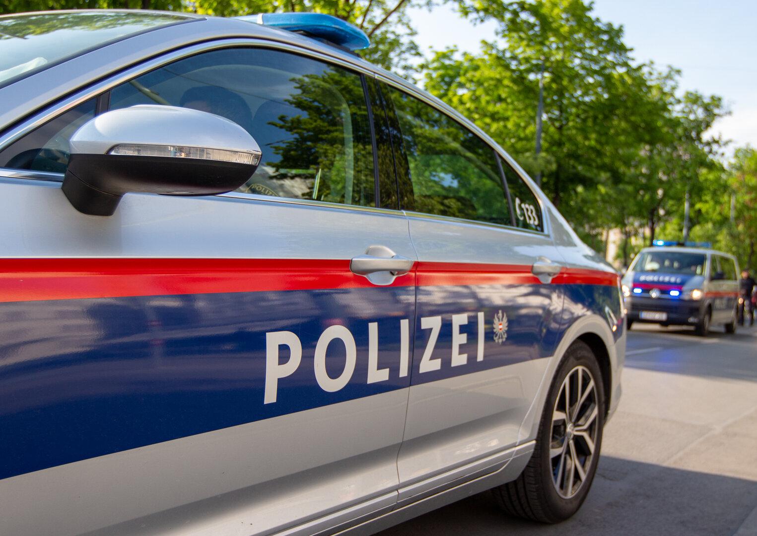 Illegaler Waffenbesitz in Kärnten: Zwei Pumpguns sichergestellt
