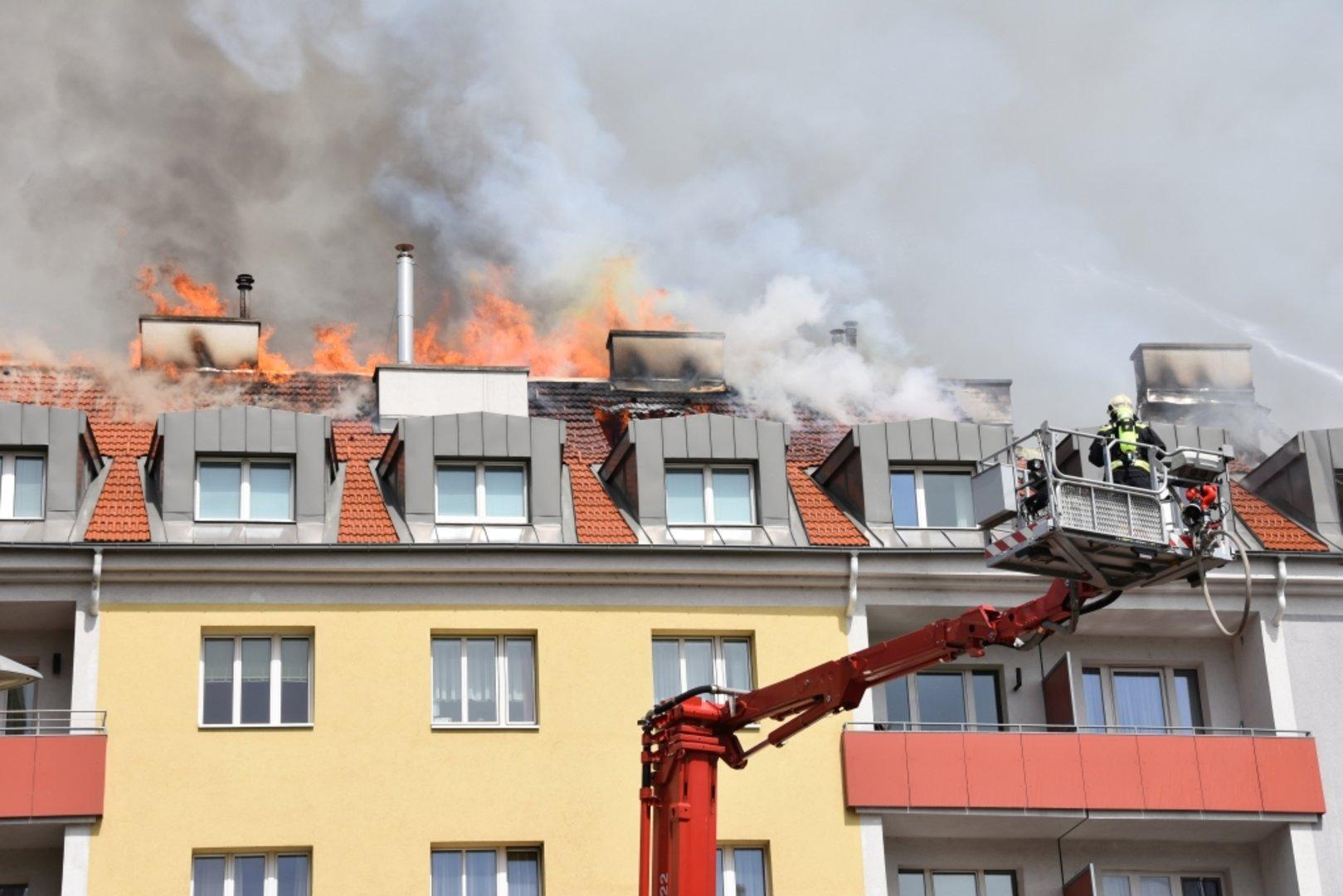 Wiener Enkplatz: Nach dem Feuer kommen die Diebe