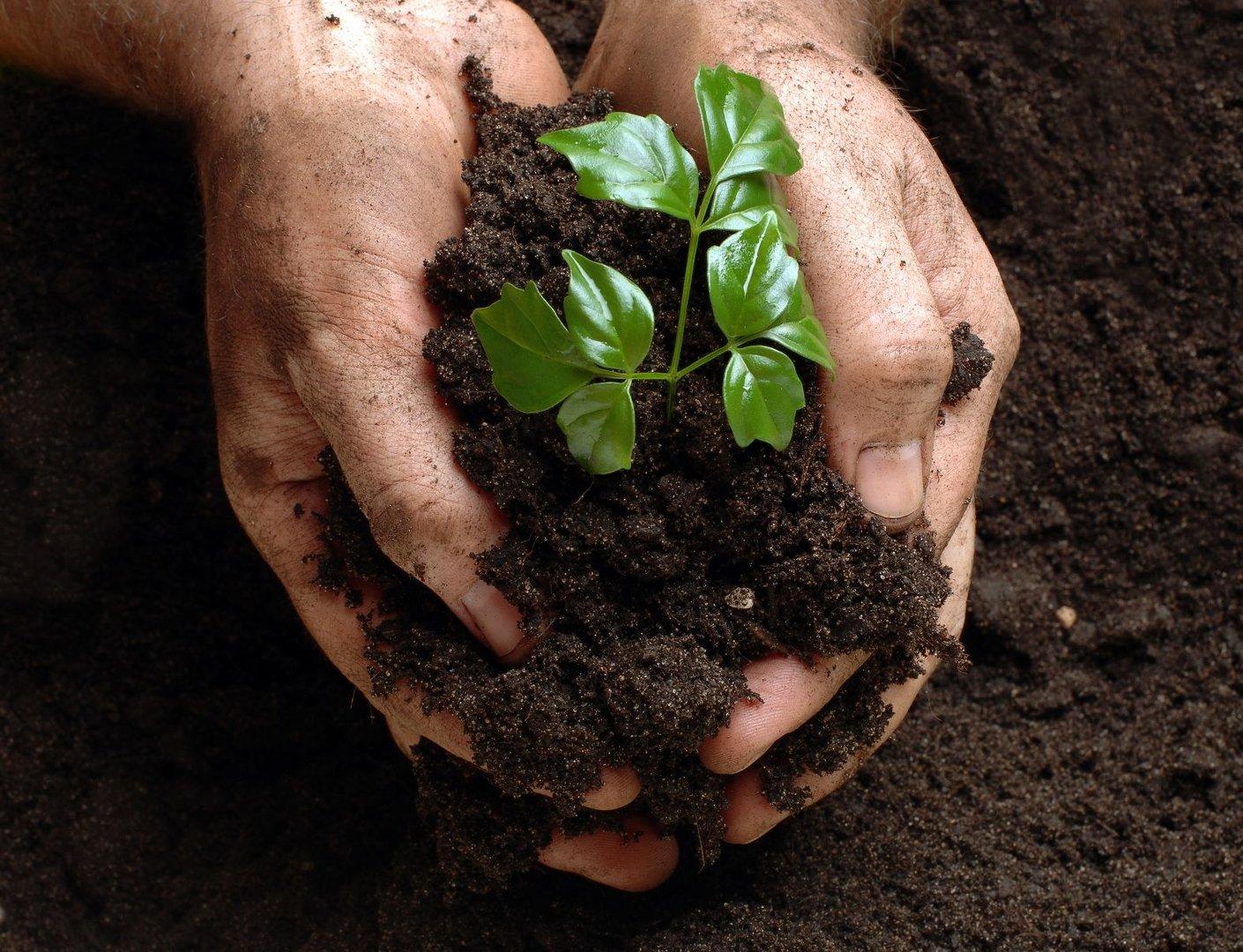 Was die Krise im Iran mit unseren Böden zu tun hat