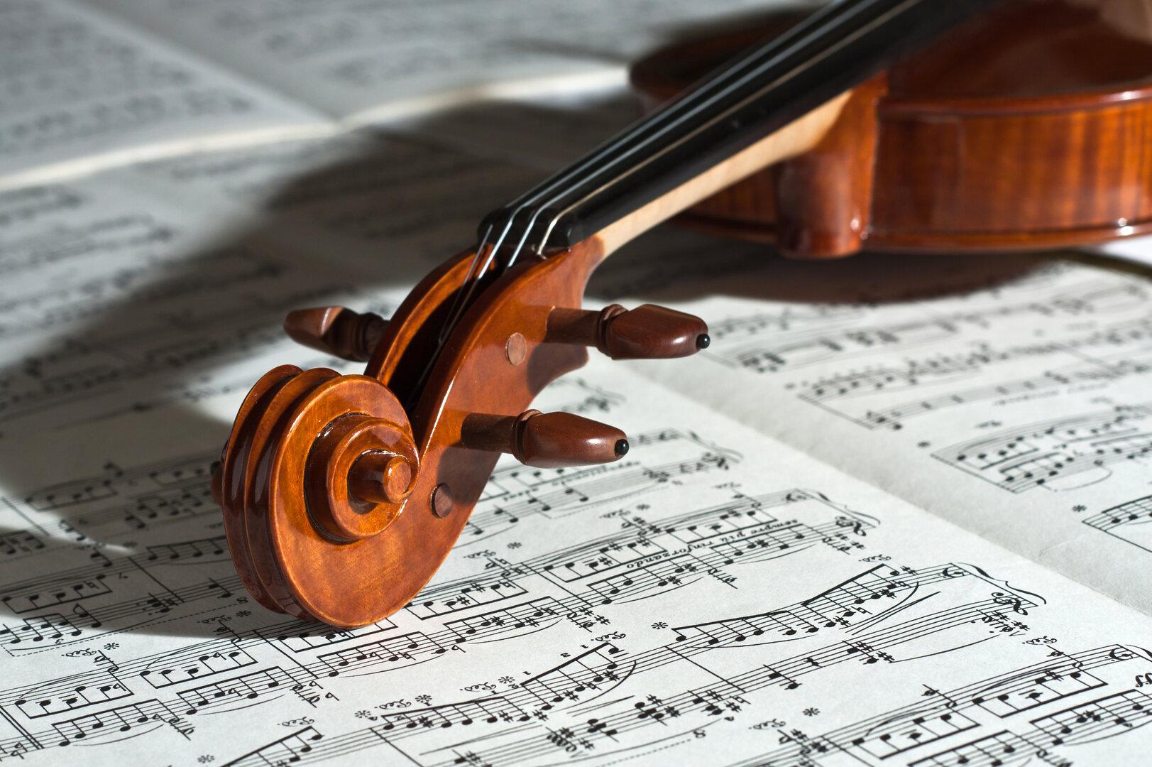 Millionenpleite der Betreiberin des Johann Strauss Museums