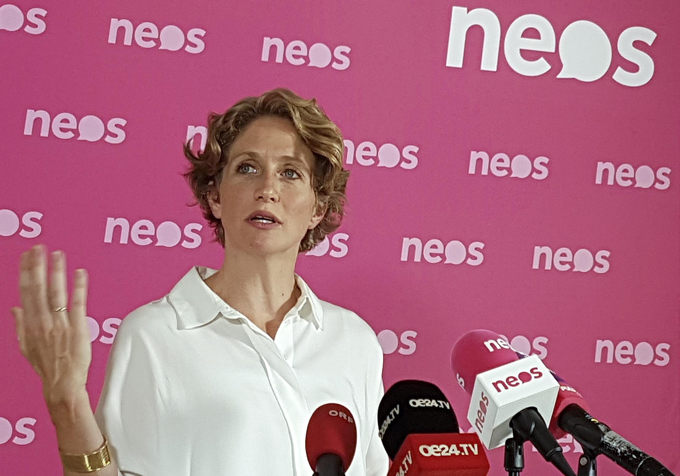 NEOS-PRESSEKONFERENZ "ZWISCHENBILANZ ZUM IBIZA-U-AUSSCHUSS": KRISPER