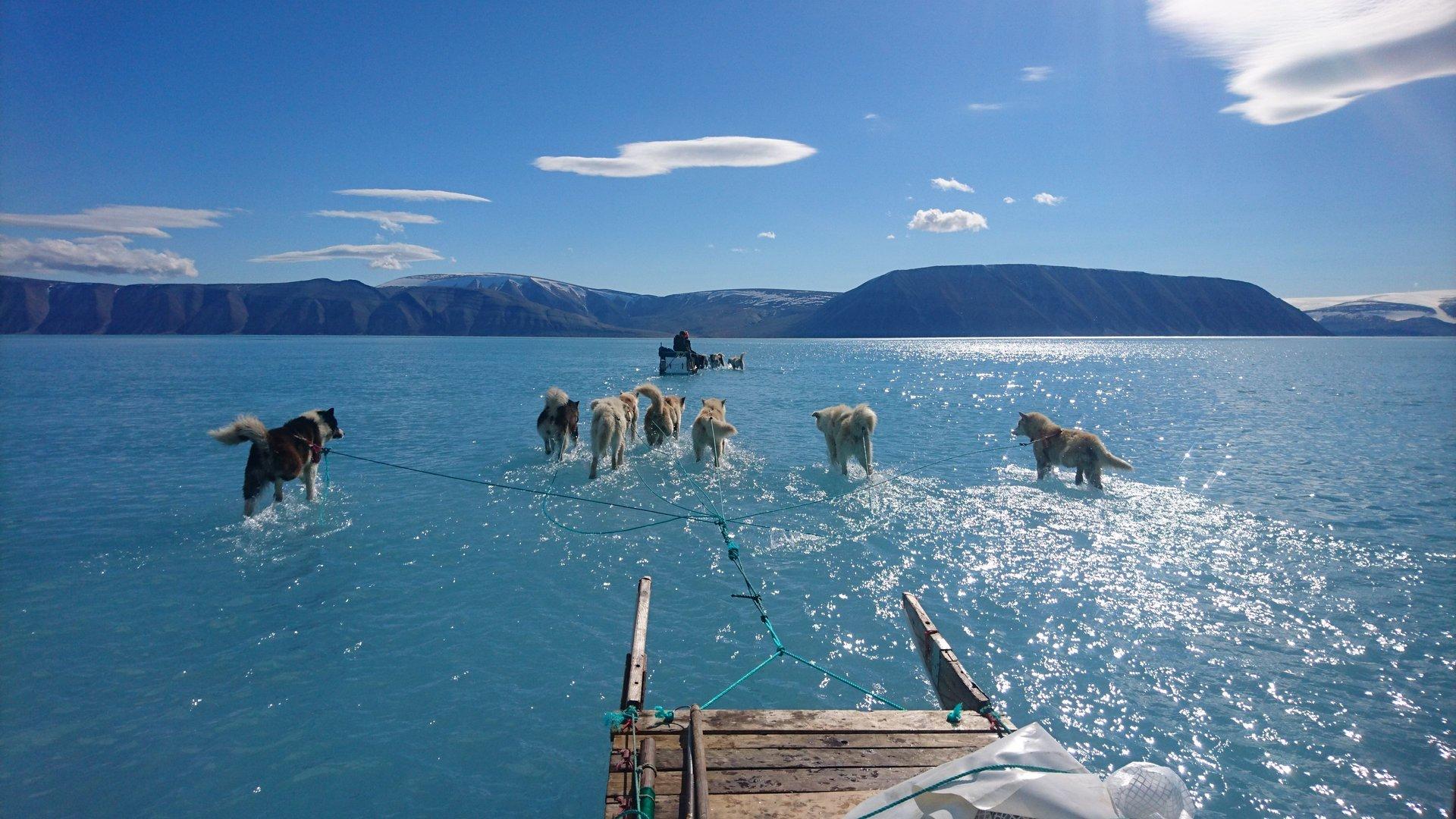 Klimawandel: Grönland verlor eine Million Tonnen Eis - jede Minute