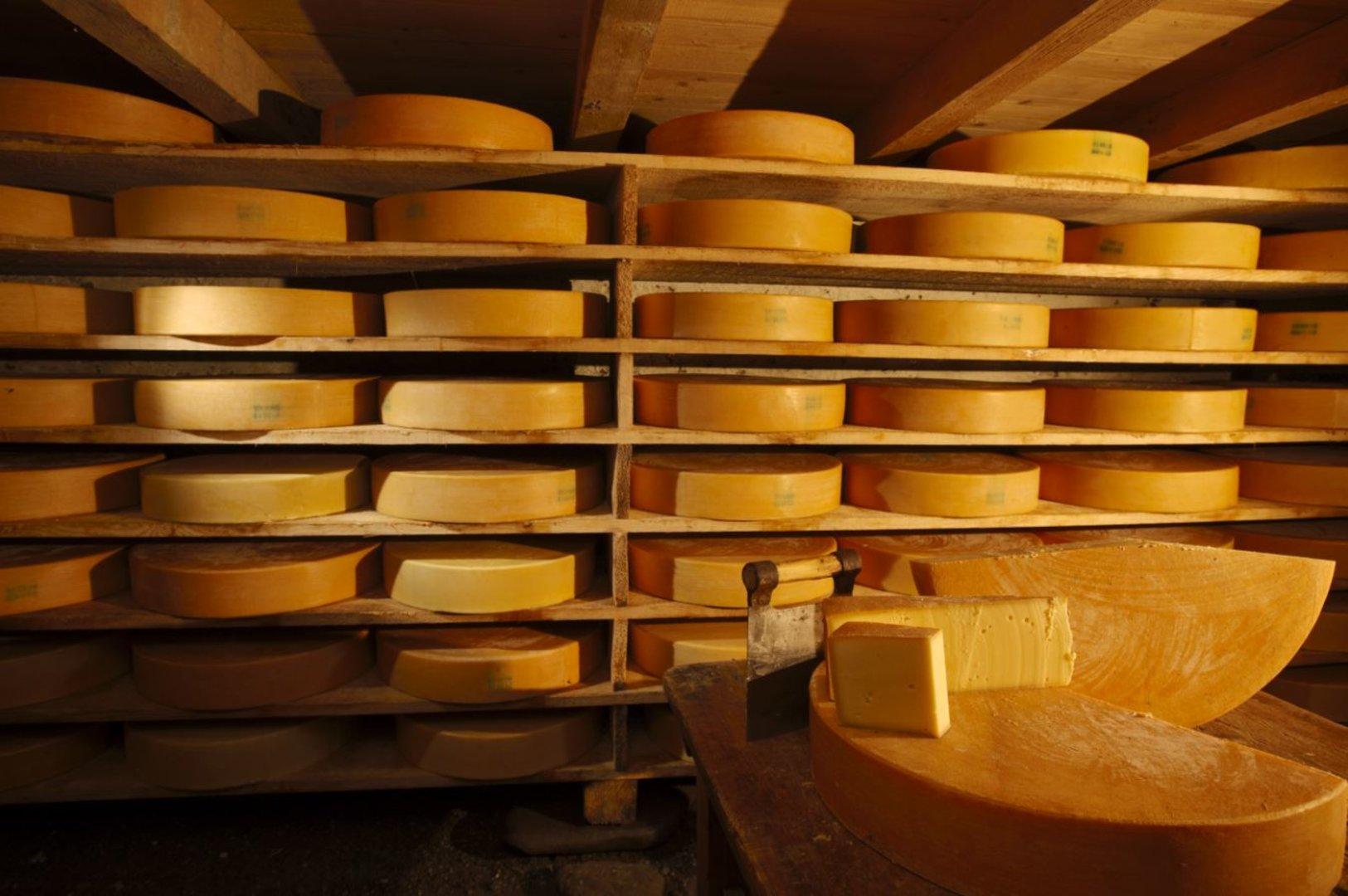 Wo man in Wien am besten Käse kaufen kann