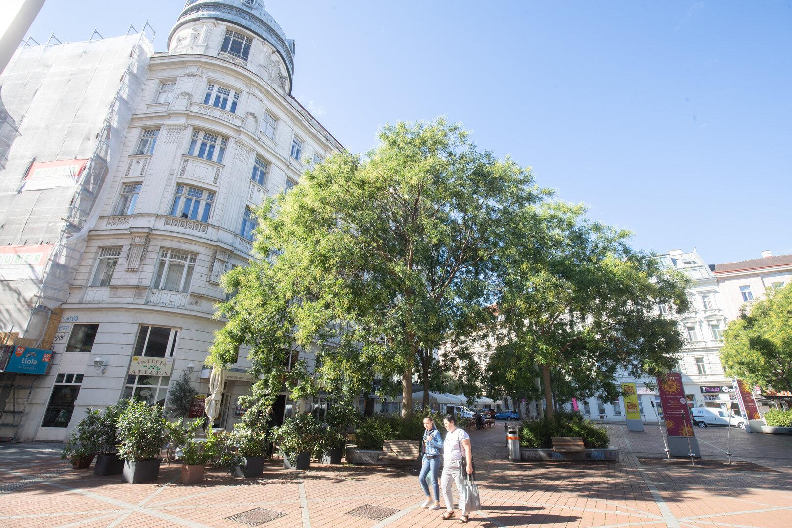 Zwei Frauen gehen über einen Platz mit Bäumen und einem Gebäude im Hintergrund.