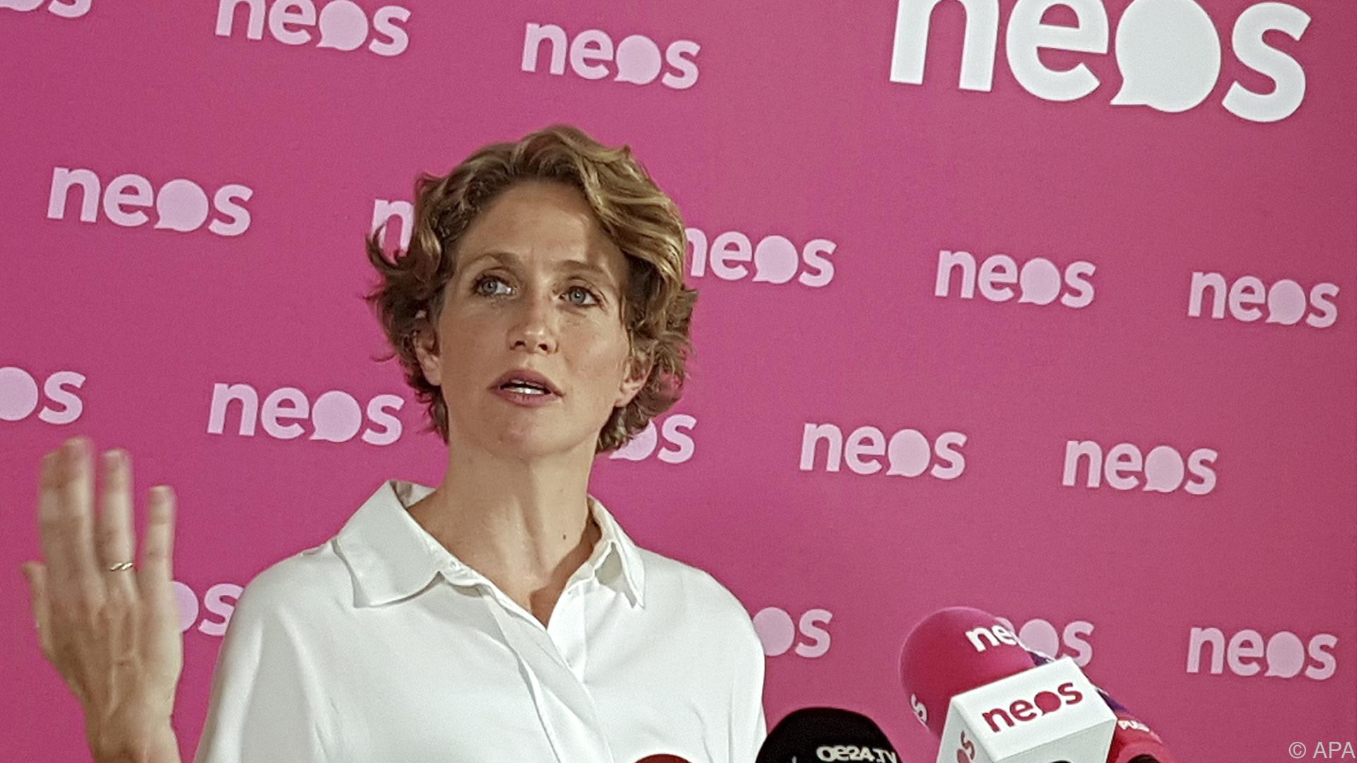 NEOS-Fraktionsführerin Krisper fordert Videobefragung NEOS-Fraktionsführerin Krisper fordert Videobefragung