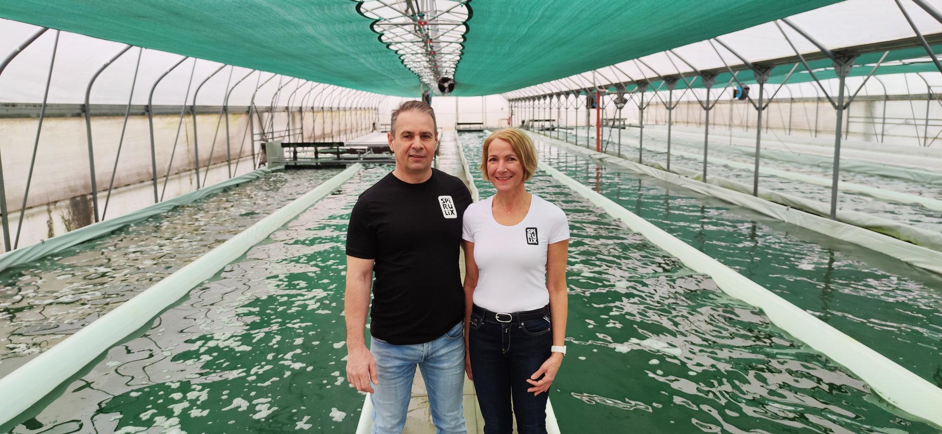 Niederösterreichisches Startup packt heimische Algen ins Müsli