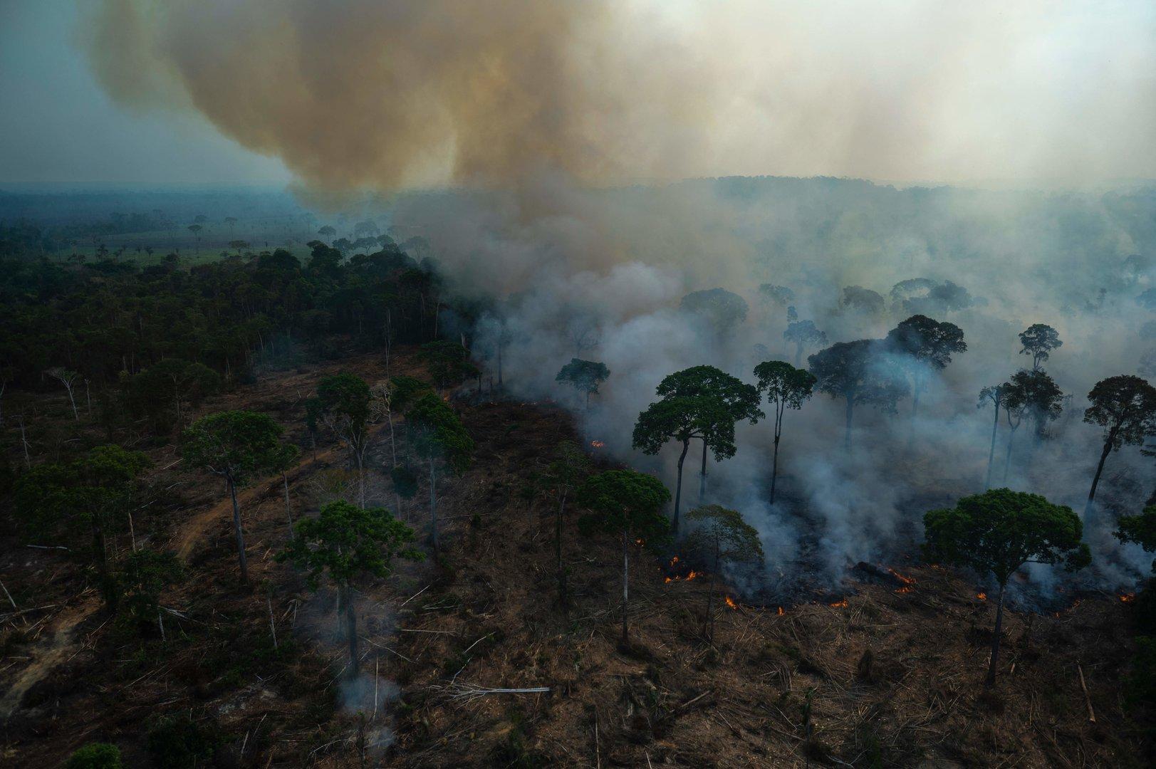 Amazonas-Abholzung bedroht Lebensgrundlage indigener Völker