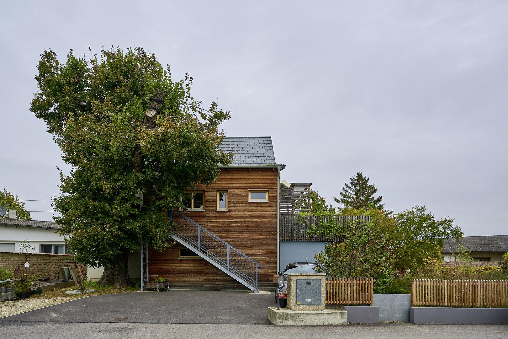 Das Baumhaus