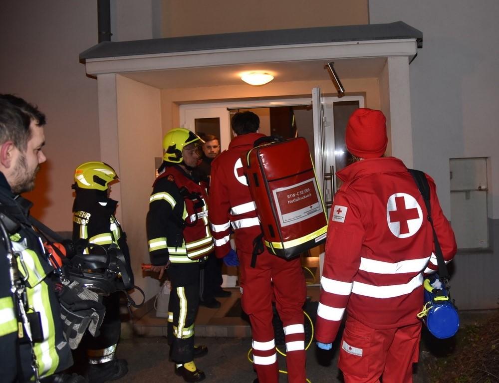 Brand im Bezirk Baden: Feuerwehr musste zahlreiche Tiere retten