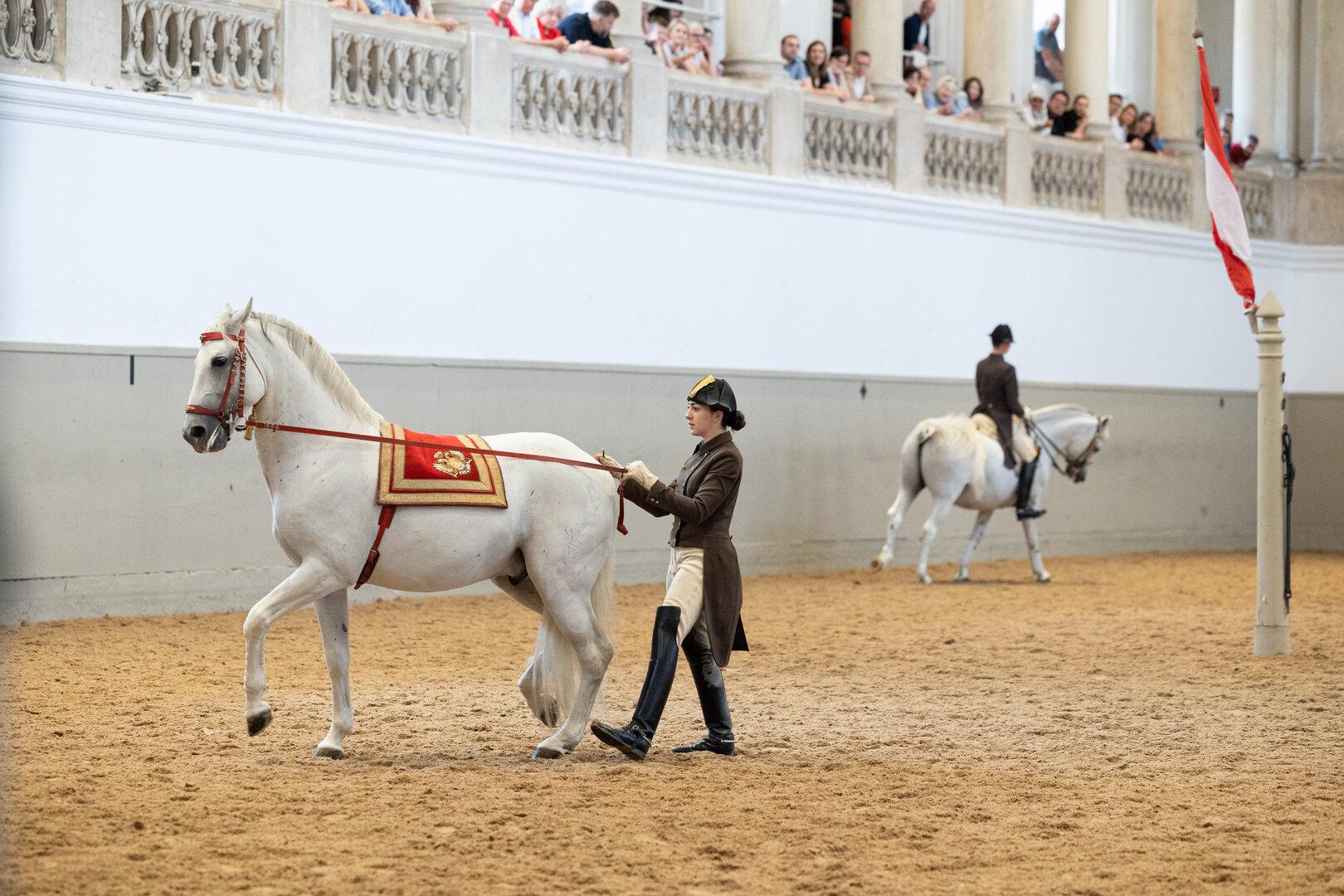 Kmetijsko ministrstvo ovadilo šefa Španske jahalne šole