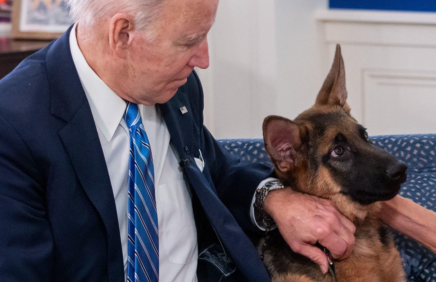 Hund von US-Präsident Biden soll mindestens zehn Menschen attackiert haben