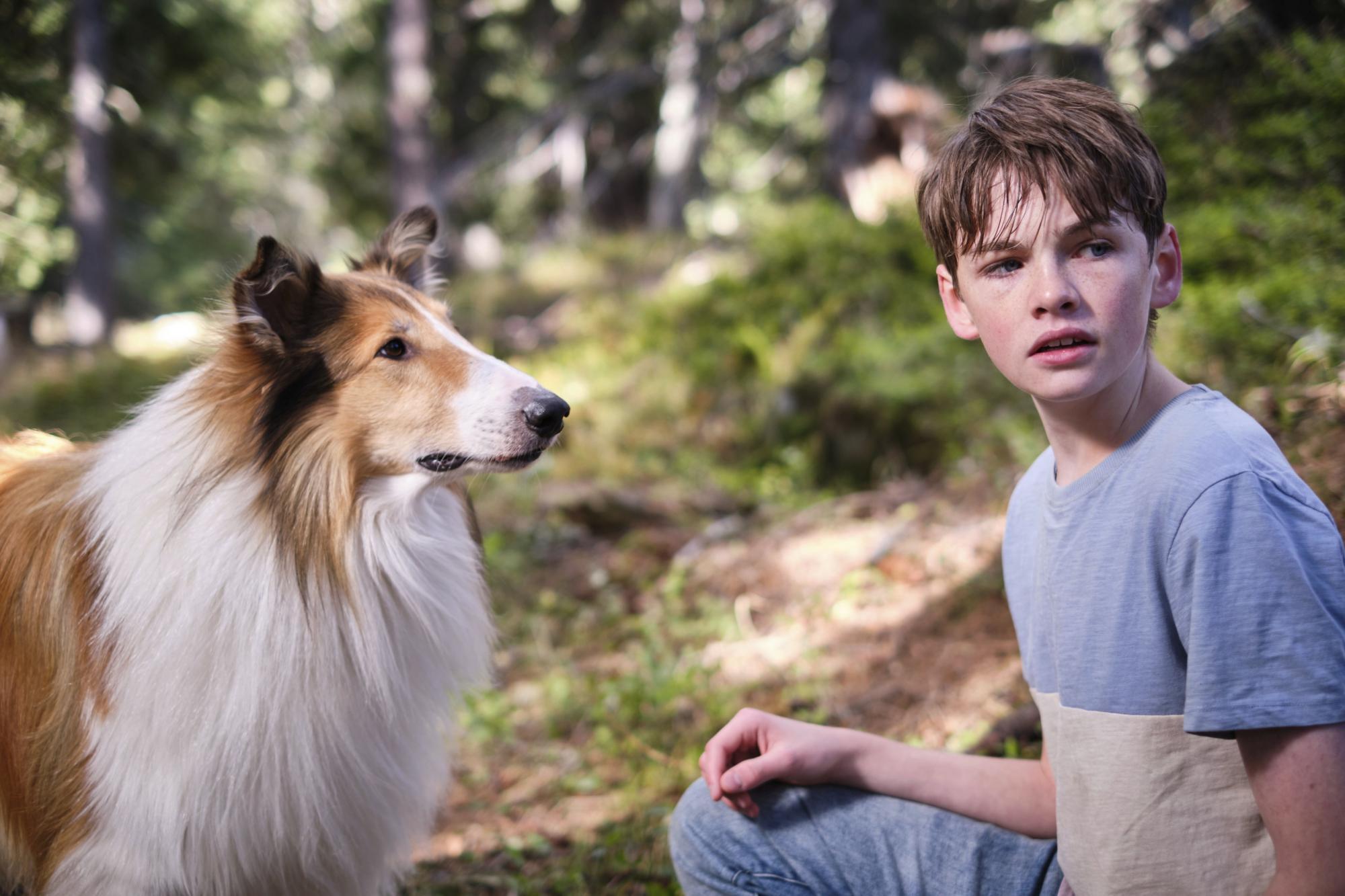 Filmkritik: Ein neues Abenteuer mit Lassie – nun in Südtirol
