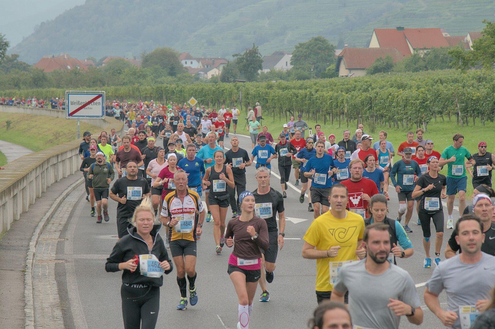 Wachau Marathon heuer zum 25. Mal mit erweitertem Rahmenprogramm