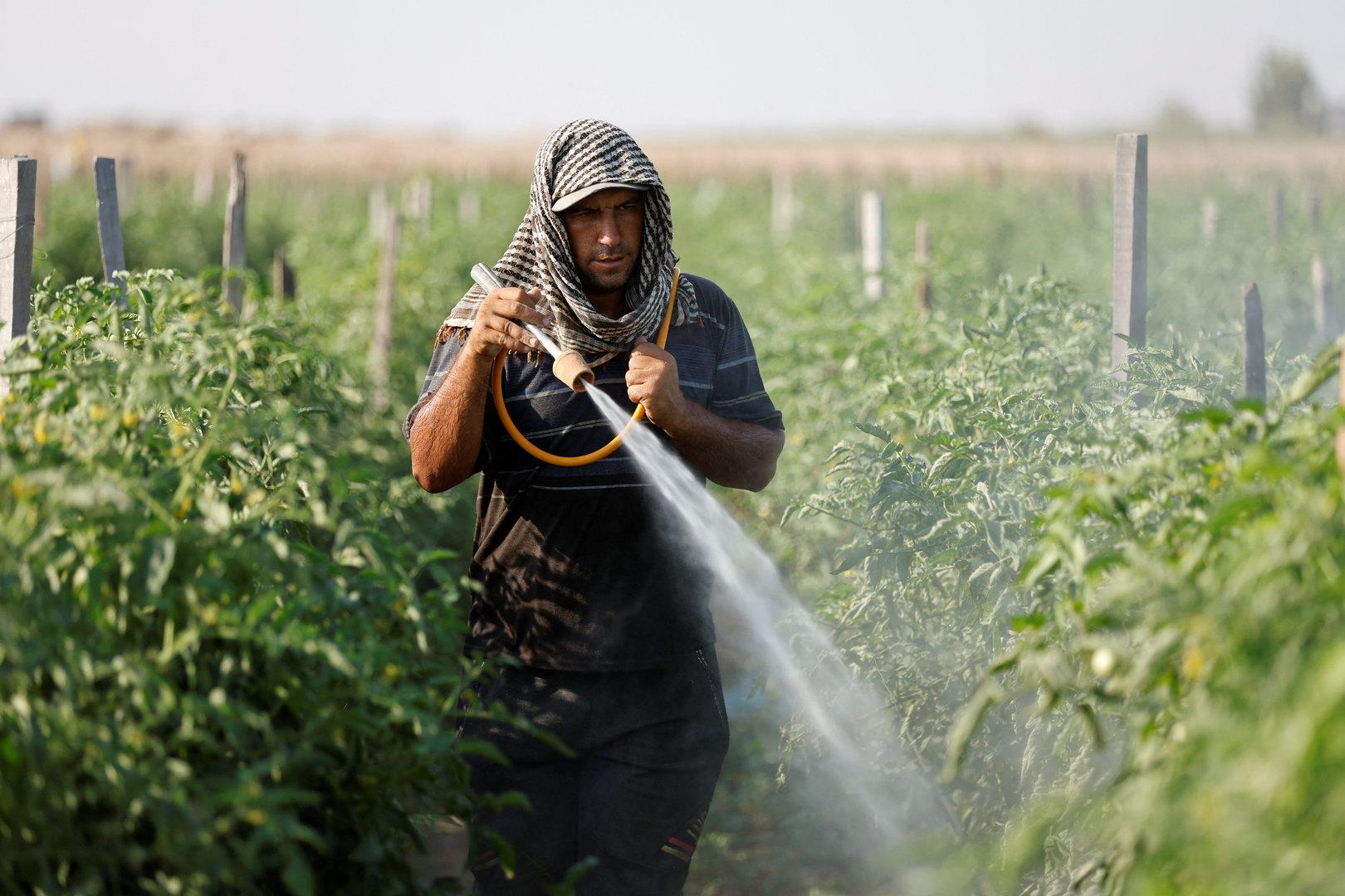 Der Streit um Pestizide in der EU wird immer giftiger