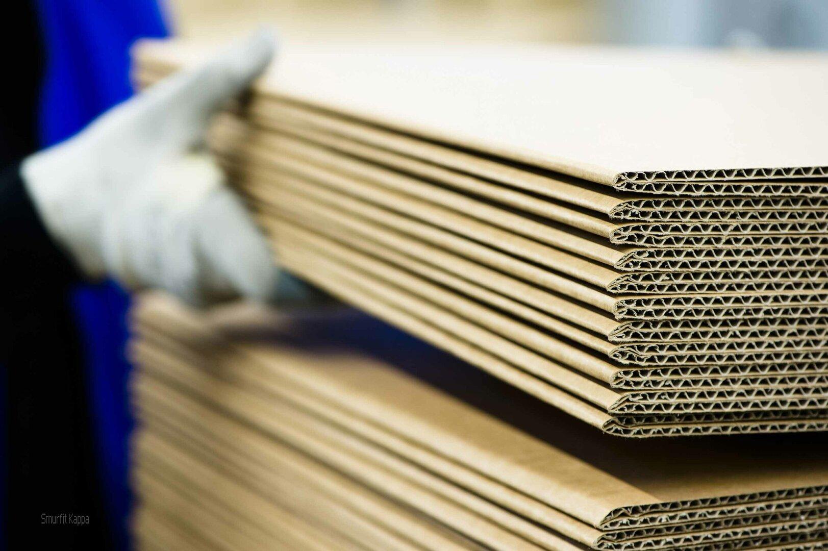 Austropapier-Chefin: „Haben sehr wohl einen Standortnachteil“