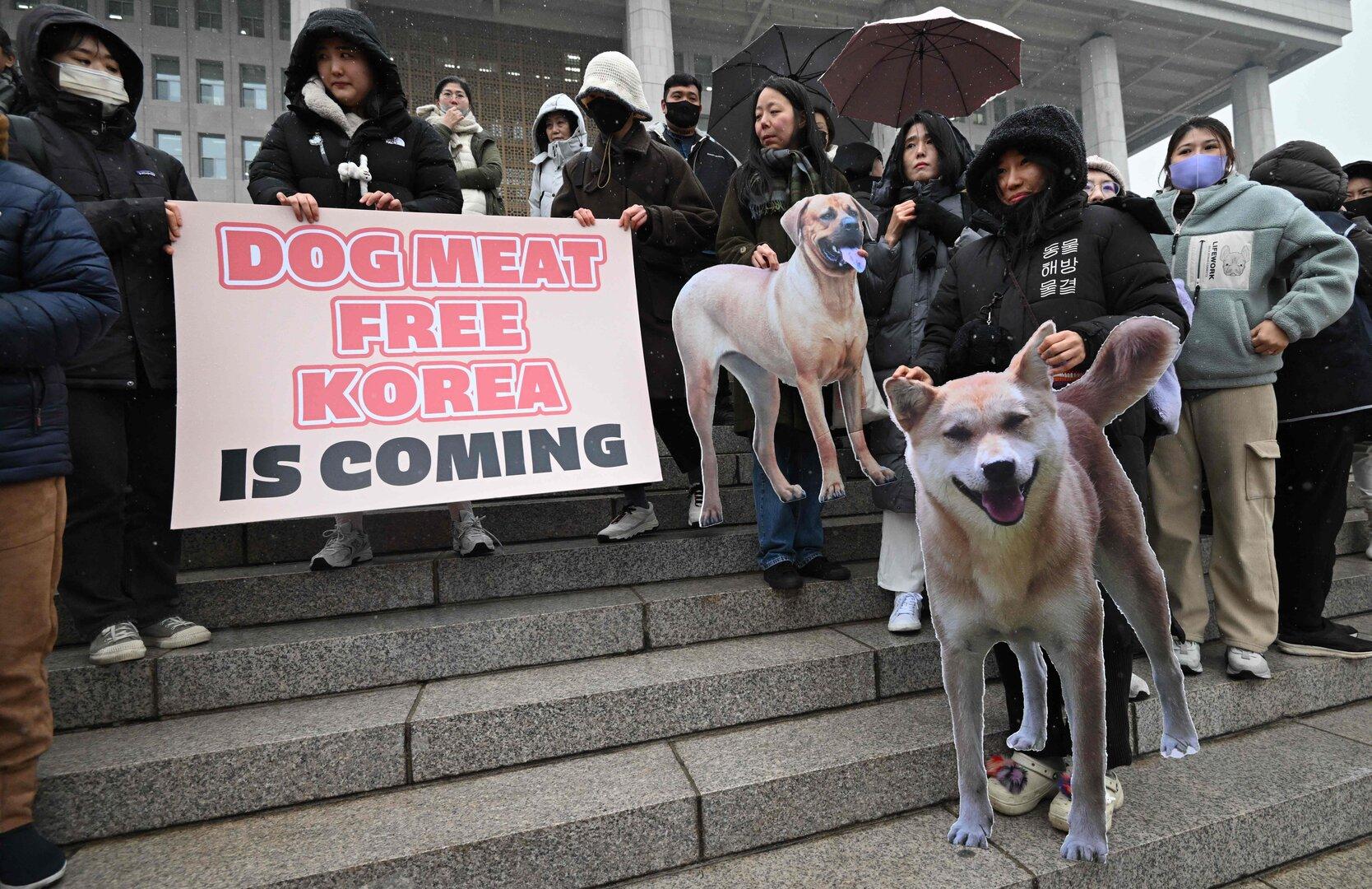 Südkorea verbietet das Schlachten von Hunden