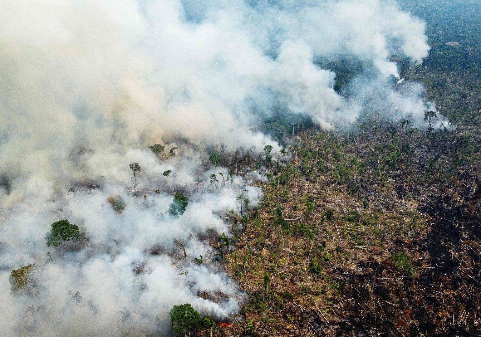 Erfolg für Lula: Abholzung in Brasiliens Regenwald halbierte sich