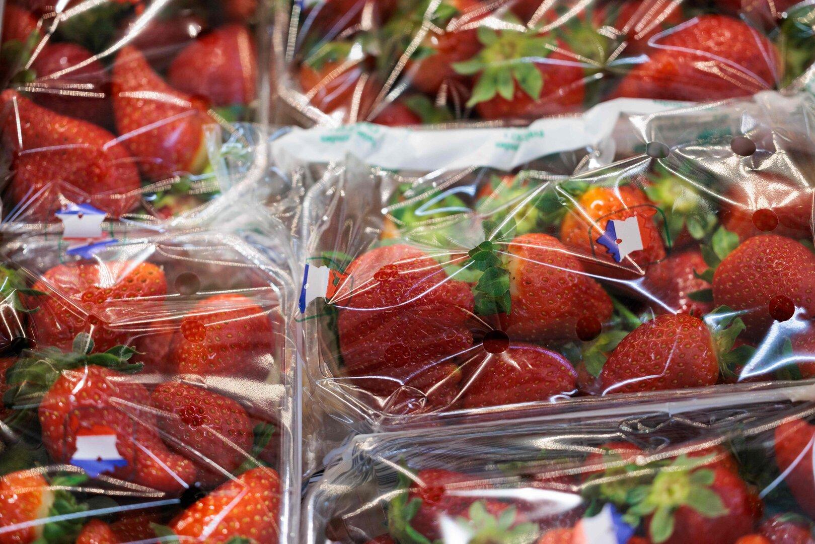 Aufregung in Spanien: Erdbeeren mit Hepatitis A aus Marokko importiert