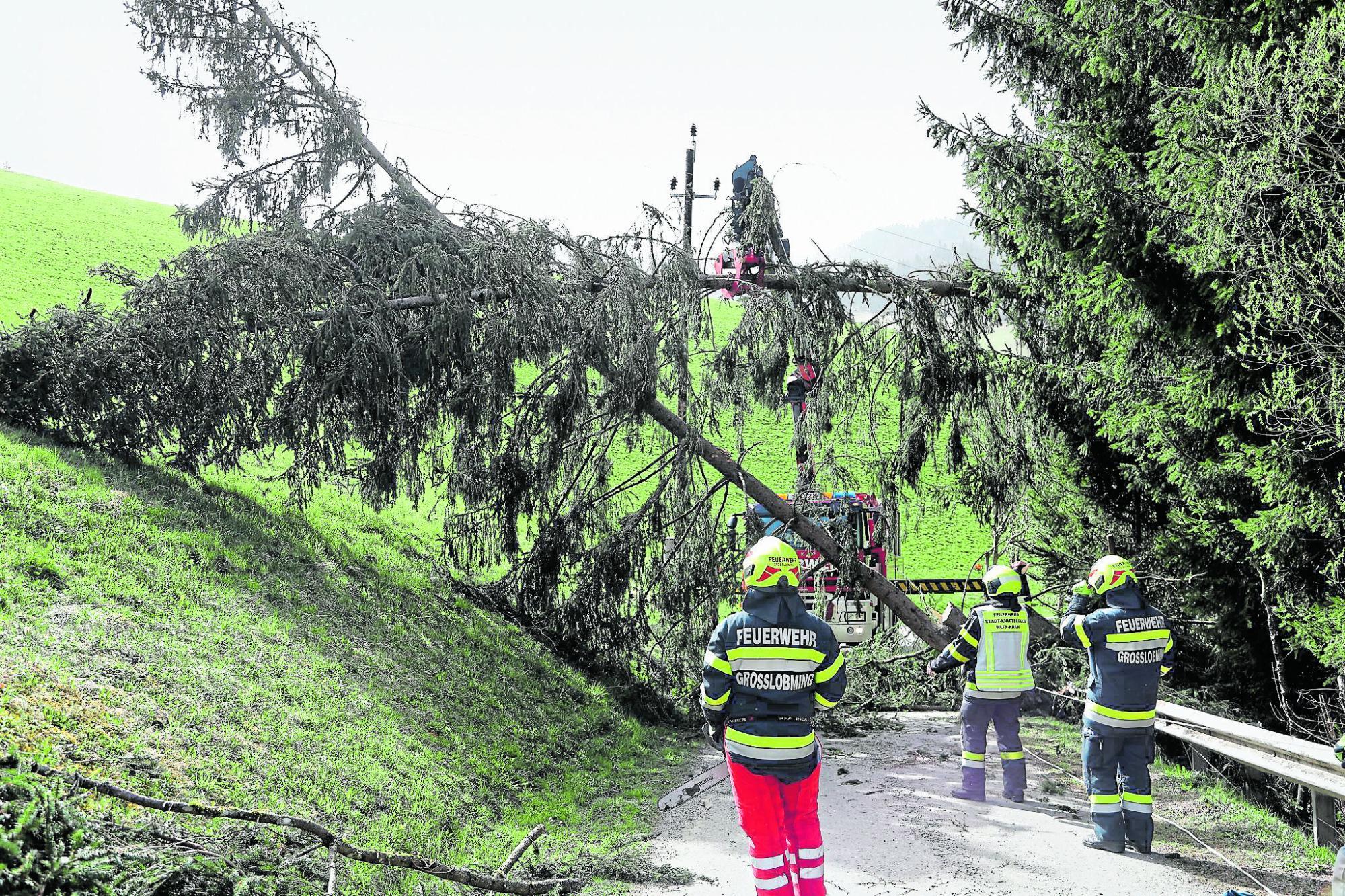 Sturmwarnung: Stromausfälle und gesperrte Bundesstraßen im Süden