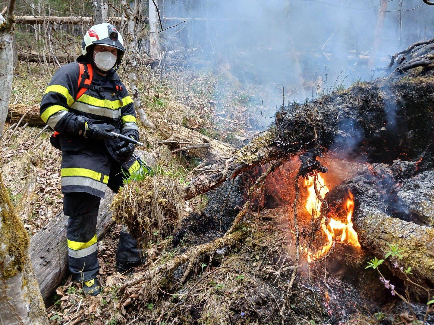 Waldbrand: Feuerwehren aus NÖ helfen in steirischer Grenzgemeinde aus