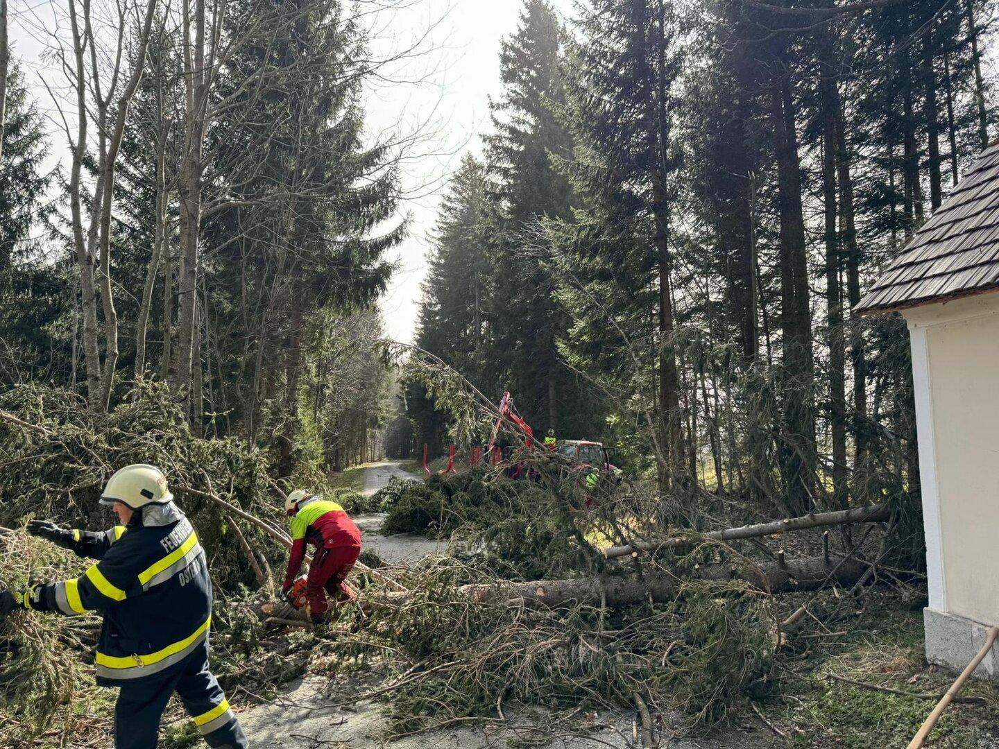 3 Tote in 15 Minuten durch Sturm in der Oststeiermark