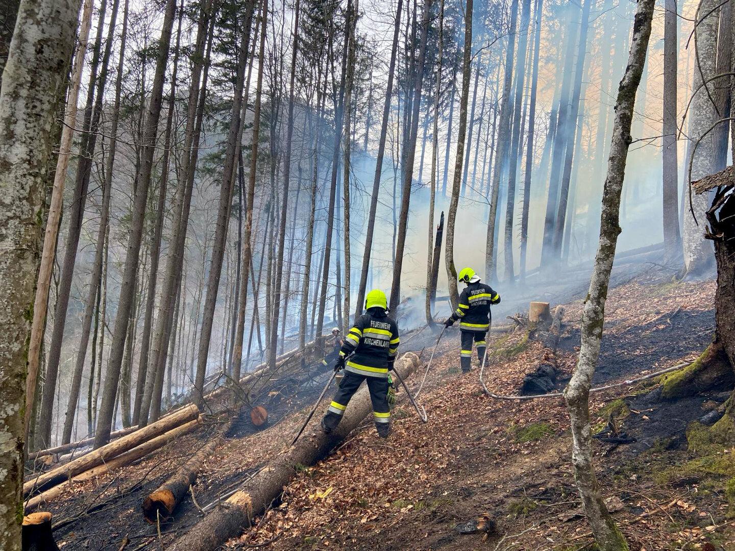 Waldbrand in der Obersteiermark: 
