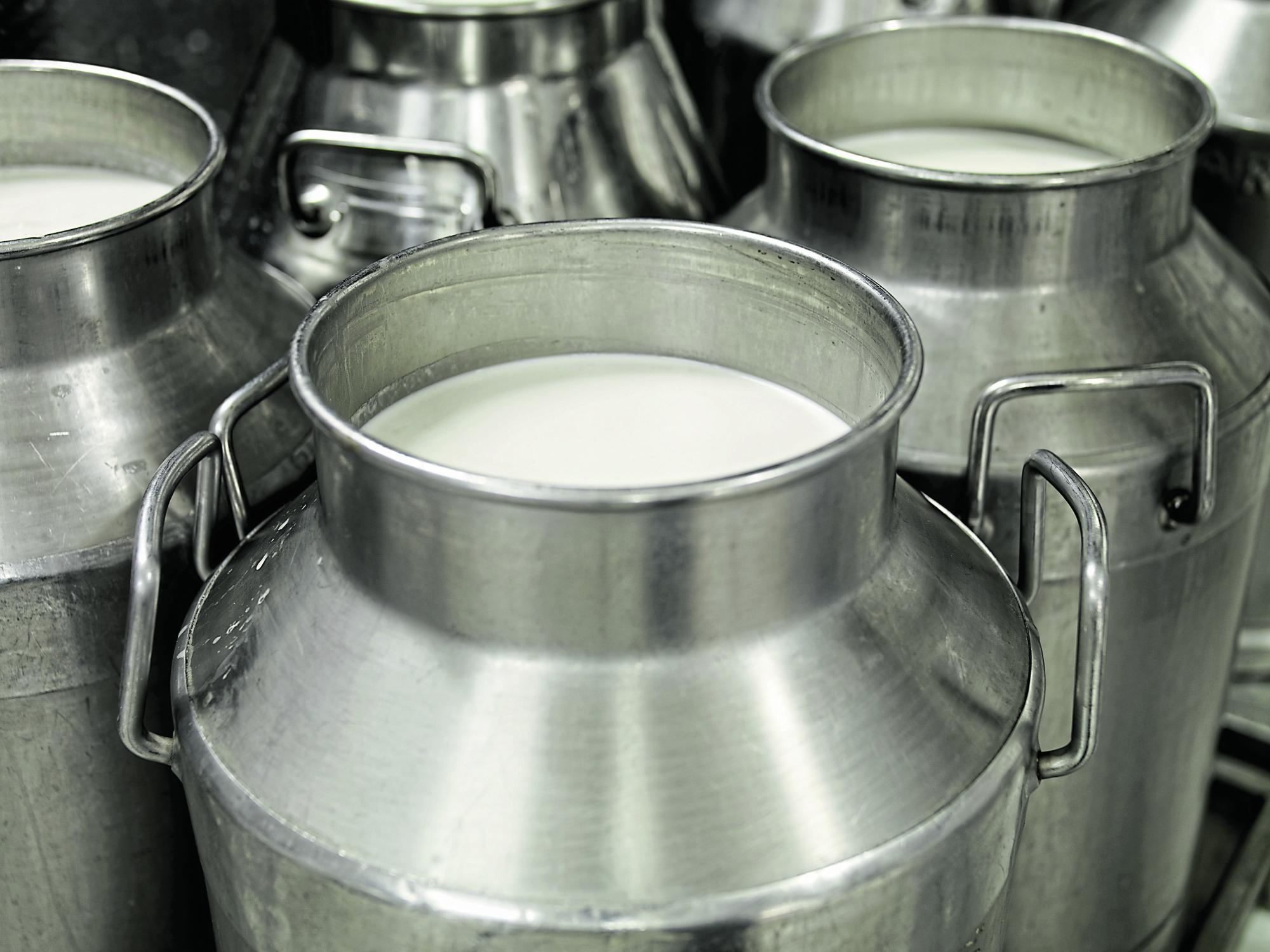 Mehrere Milchkannen aus Metall stehen nebeneinander.