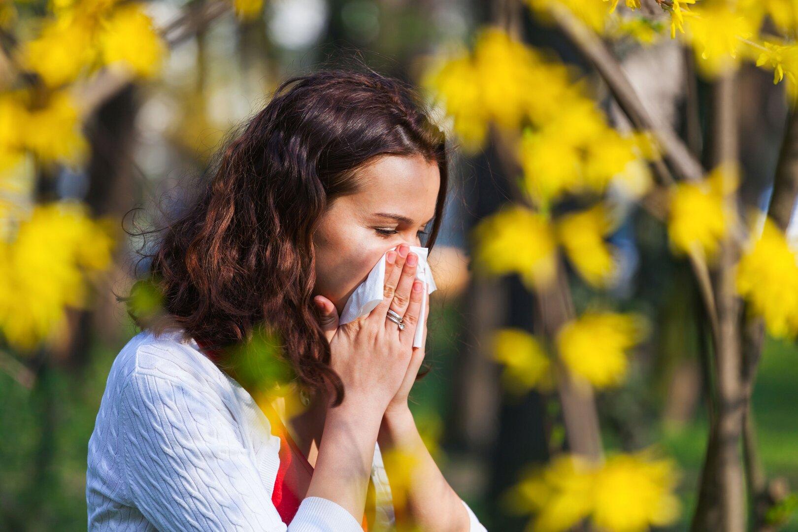 Pollenalarm im Osten Österreichs: Schwere Zeiten für Allergiker