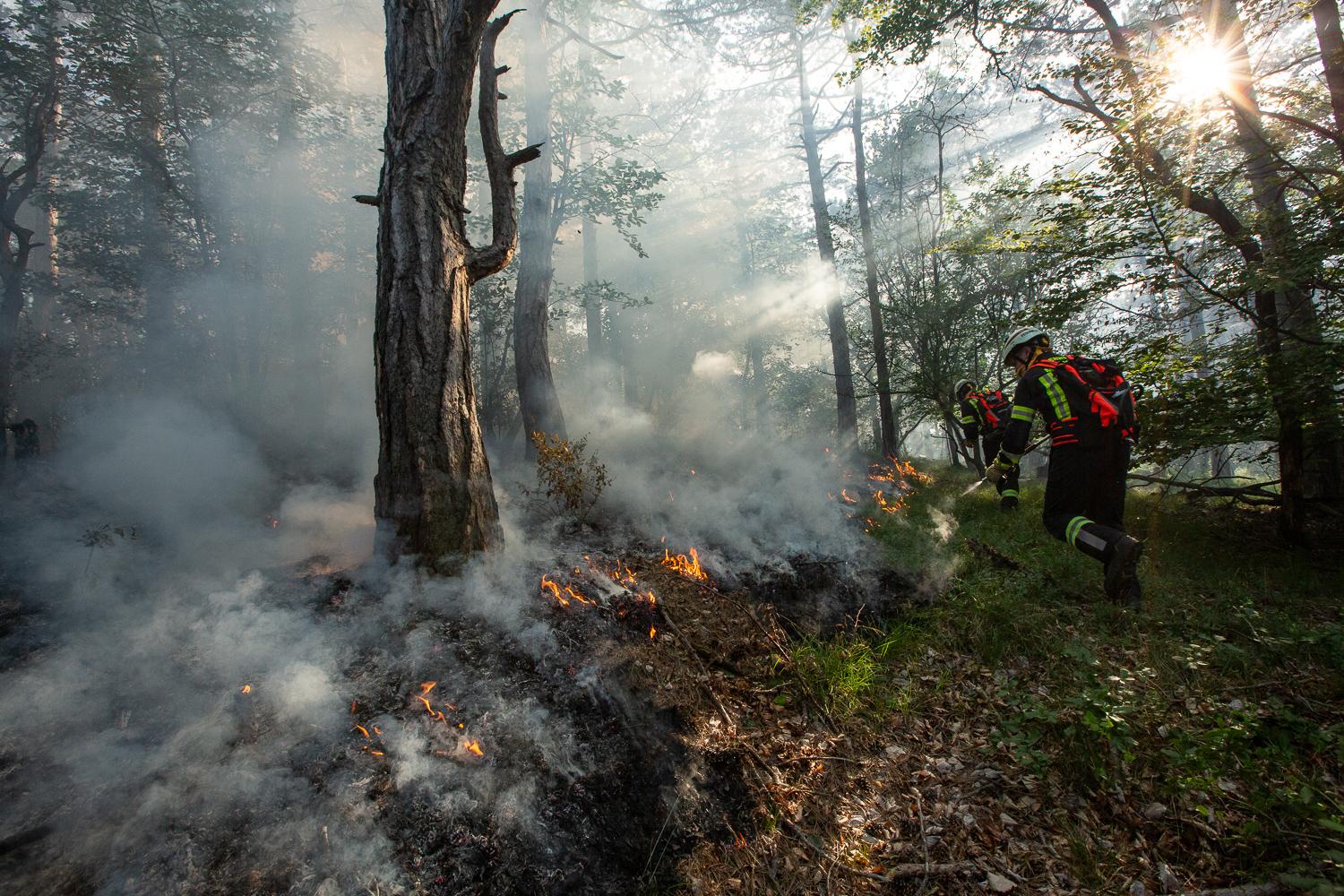 Kampf gegen Waldbrand im Bezirk Mödling mit Hubschraubern