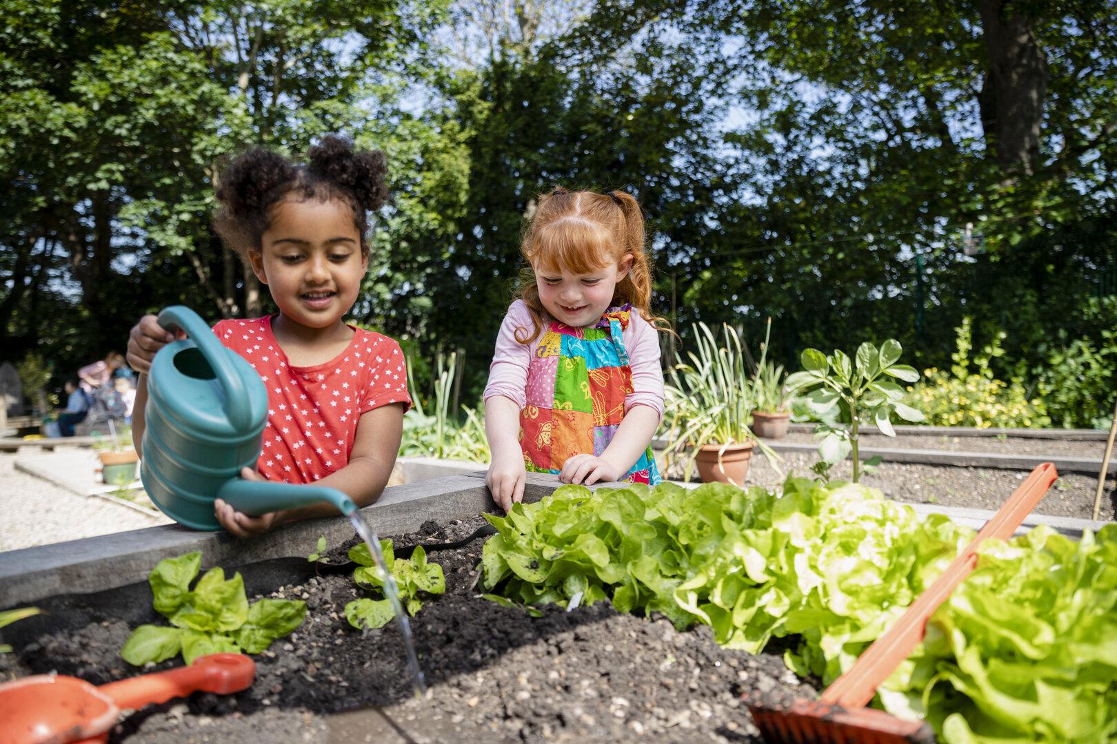 Zwei Mädchen kümmern sich um Salatpflanzen in einem Beet.