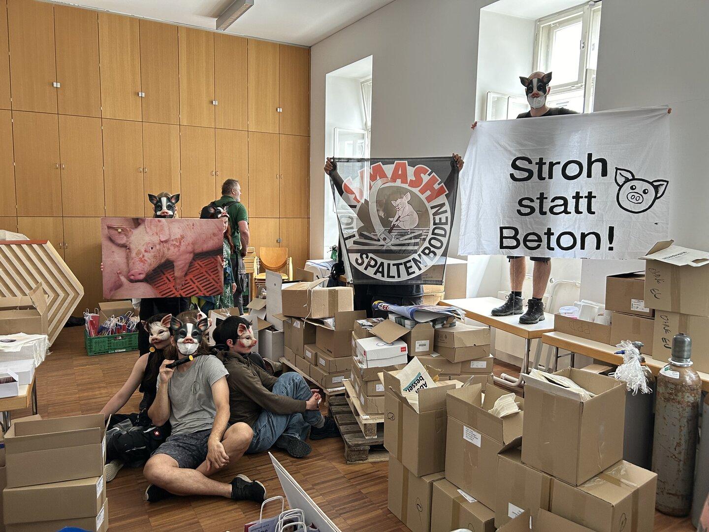 Protest gegen Vollspaltenböden: Tierschützer besetzen ÖVP-Zentrale