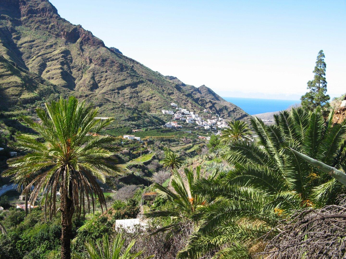 Geheimtipp auf Gran Canaria: das fruchtbare Tal Agaete