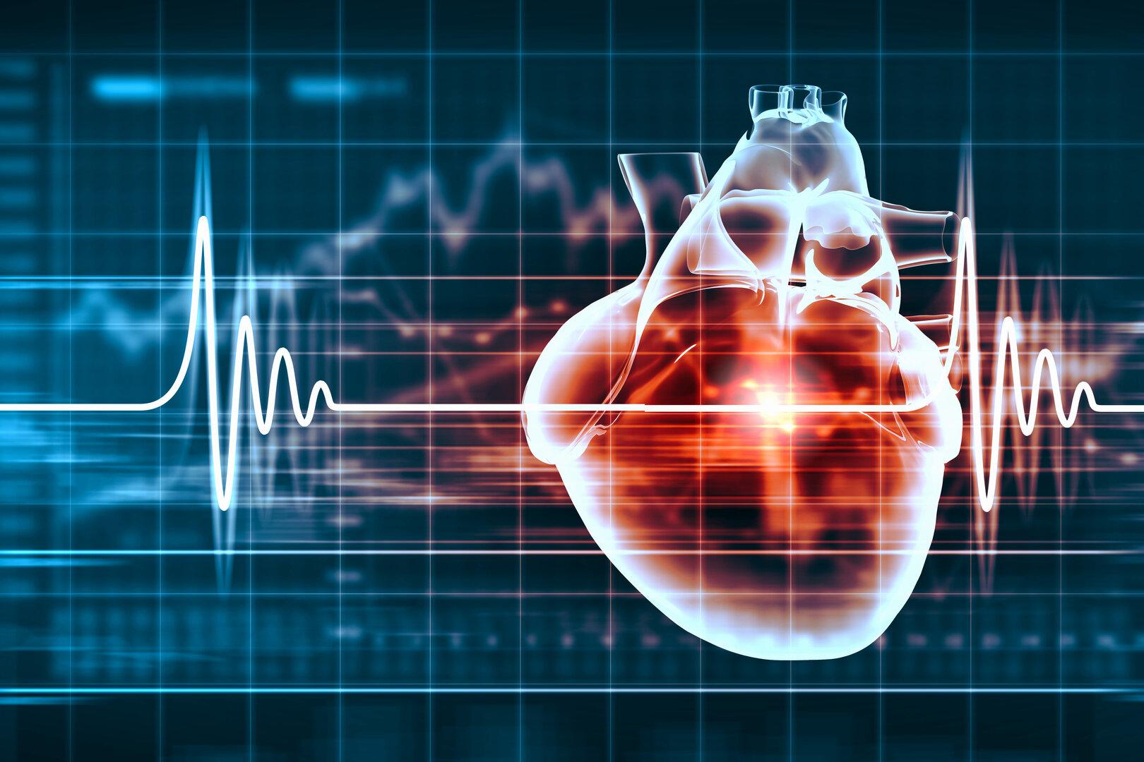 Hoffnung bei Herzschwäche: Forscher konnten erstmals Zellen regenerieren