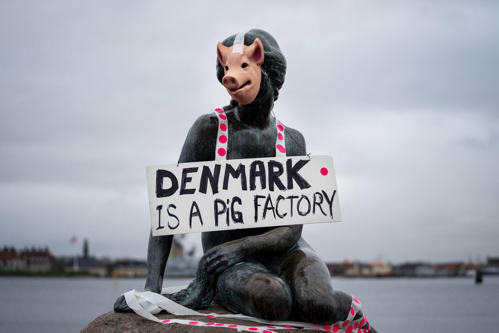 Dänemark führt eine Fleischsteuer ein. Wie geht das, ohne Kulturkampf?