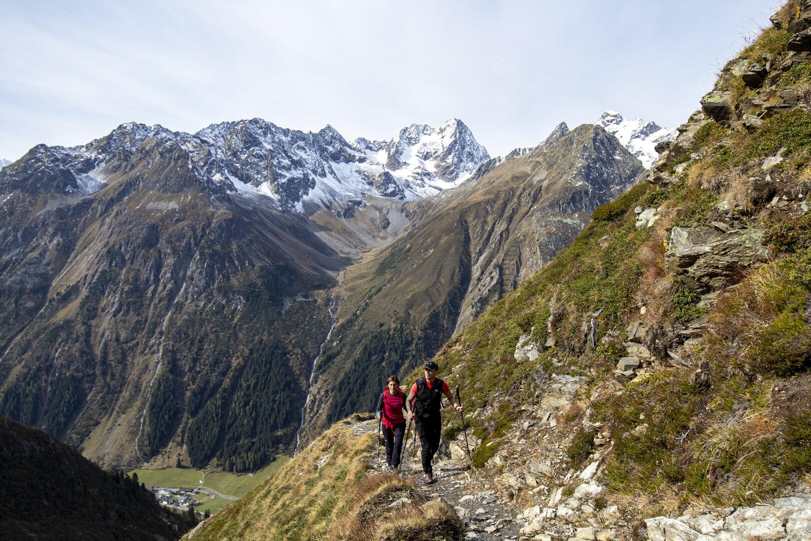 Tirol: Wie die Steinböcke vom Gran Paradiso ins Pitztal kamen