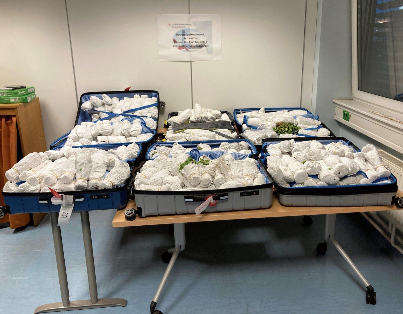 Flughafen Schwechat: Männer hatten 120 Kilo Drogen im Gepäck