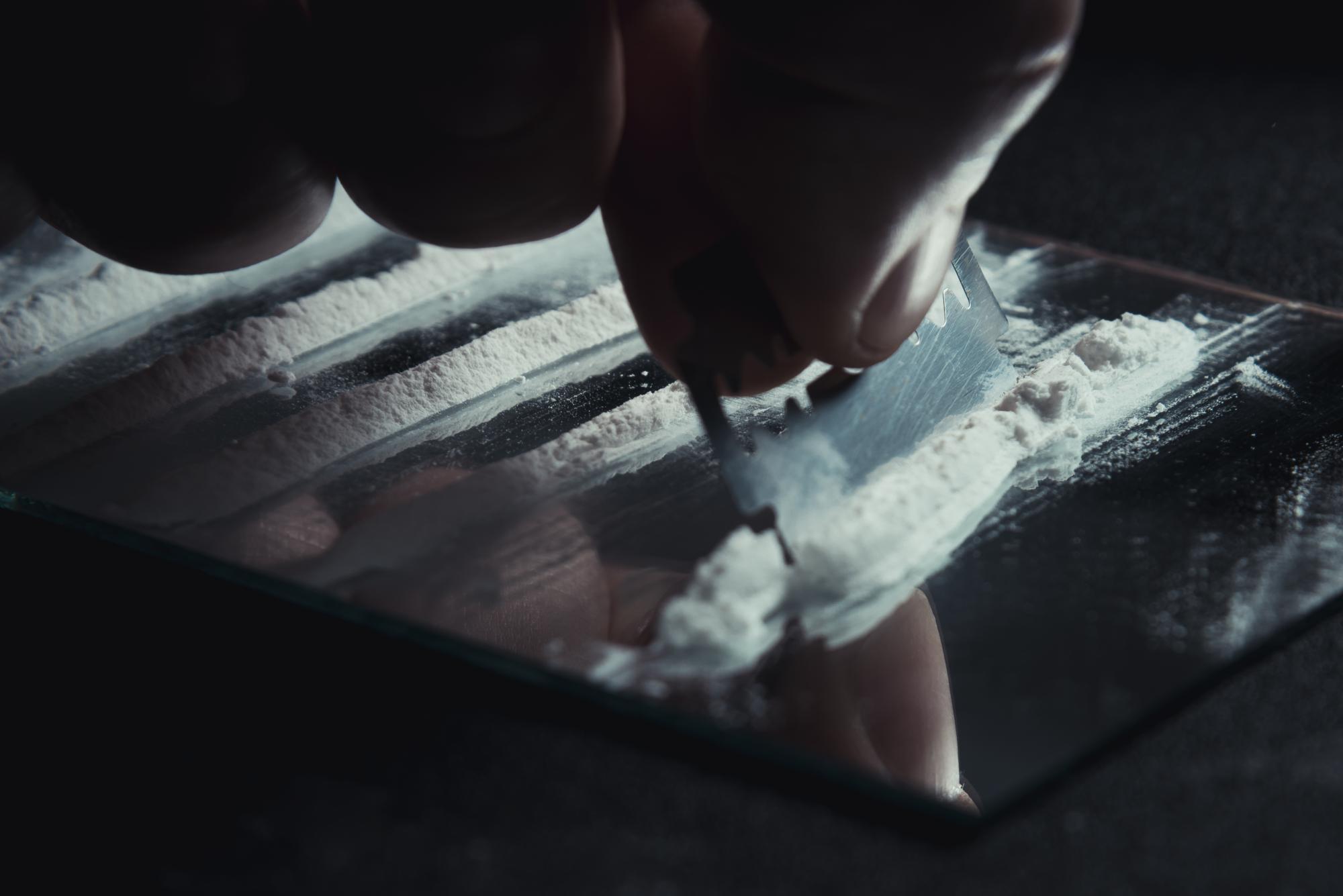 Rückgang im Drogenschmuggel: Niederländischer Zoll beschlagnahmt 16 Tonnen Kokain