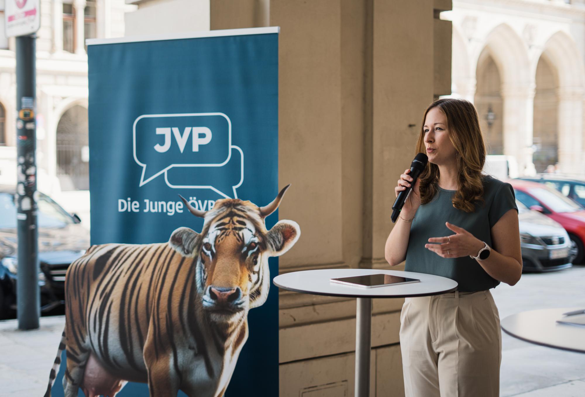 Junge ÖVP startet mit Tiger-Kuh-Mischling ihre Sommertour