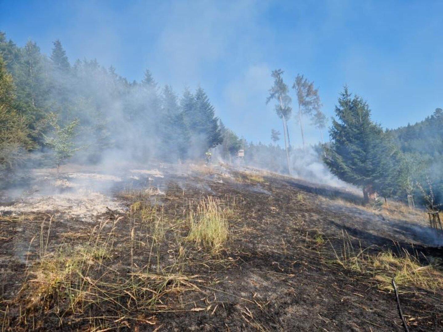 Waldbrand bei Forchtenstein: 19 Feuerwehren im Einsatz