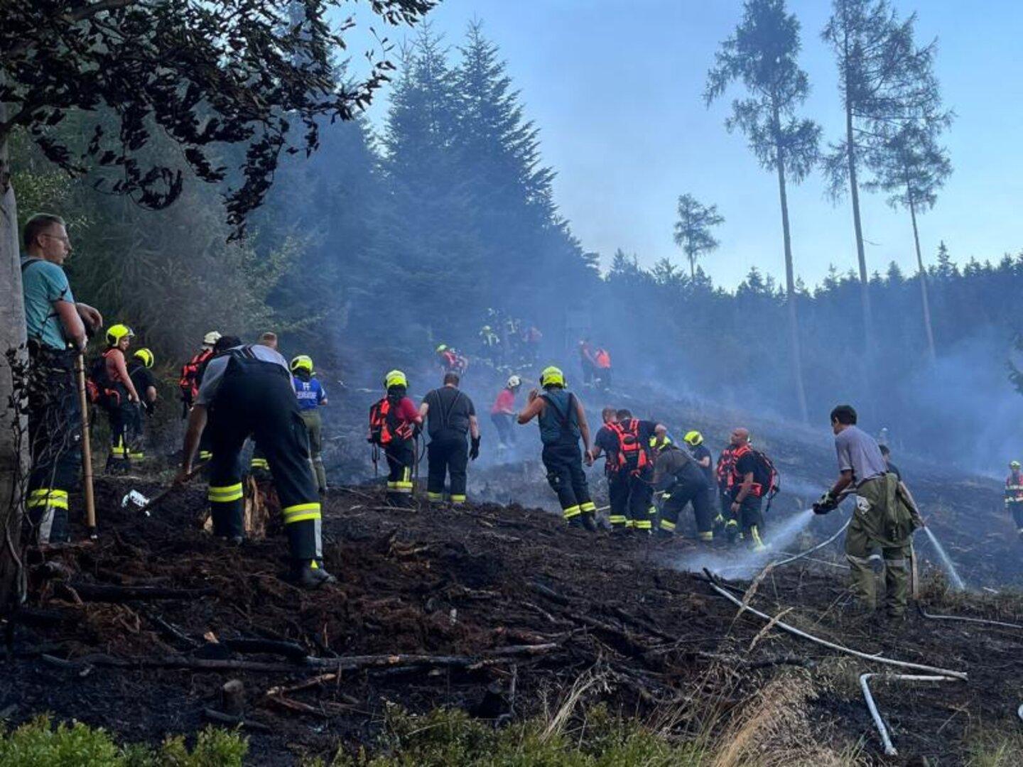 Warnung nach Waldbrand: Staubtrockene Böden trotz starker Regenfälle