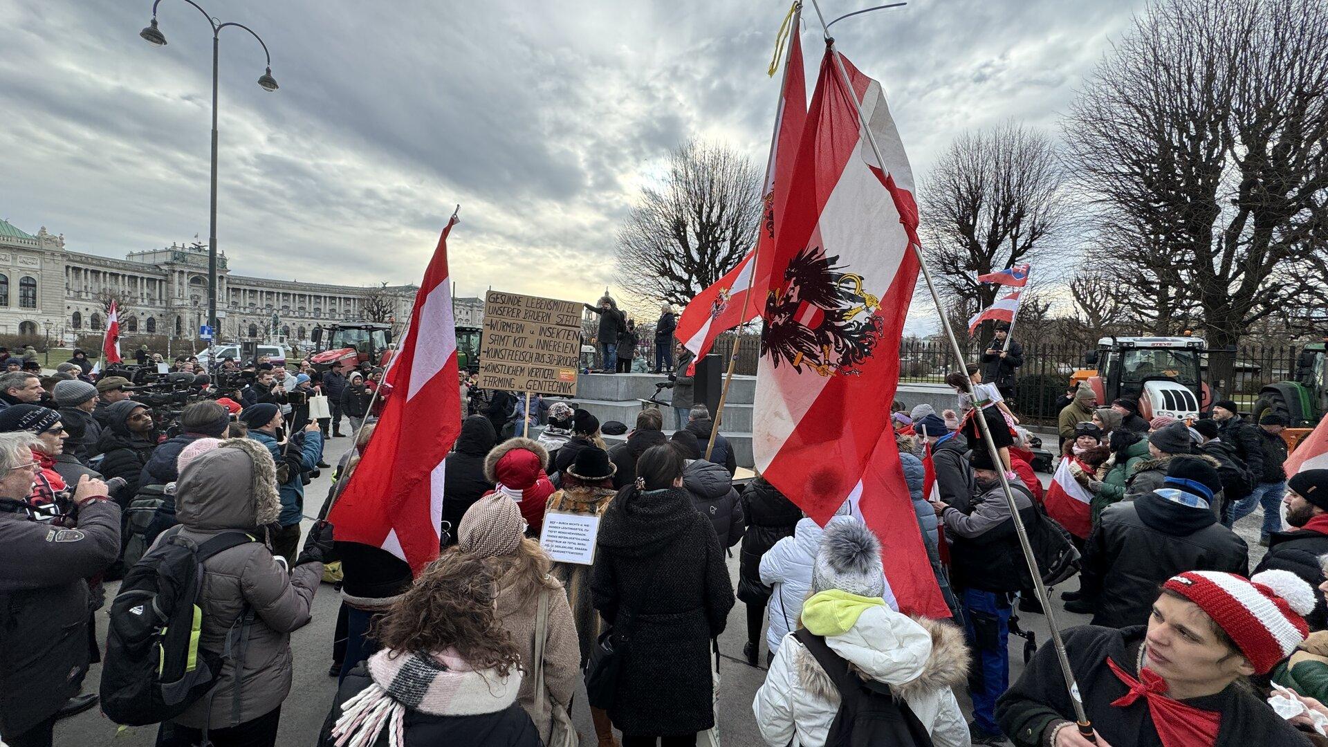 Verbot gefordert: Katerstimmung nach Ausschreitungen bei Wiener Demos