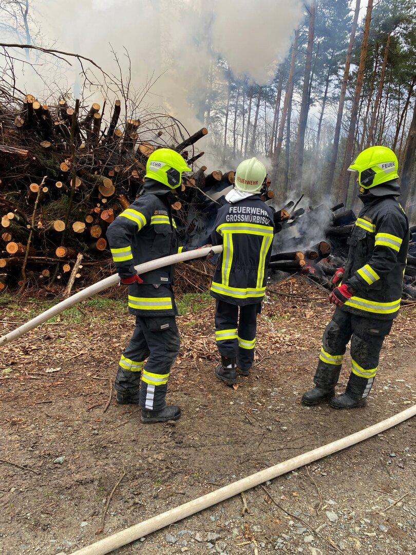 Waldbrand in Niederösterreich: 60 Feuerwehrleute im Einsatz