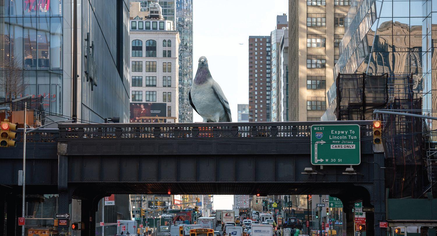 New York bekommt eine Riesentaube als neues Wahrzeichen