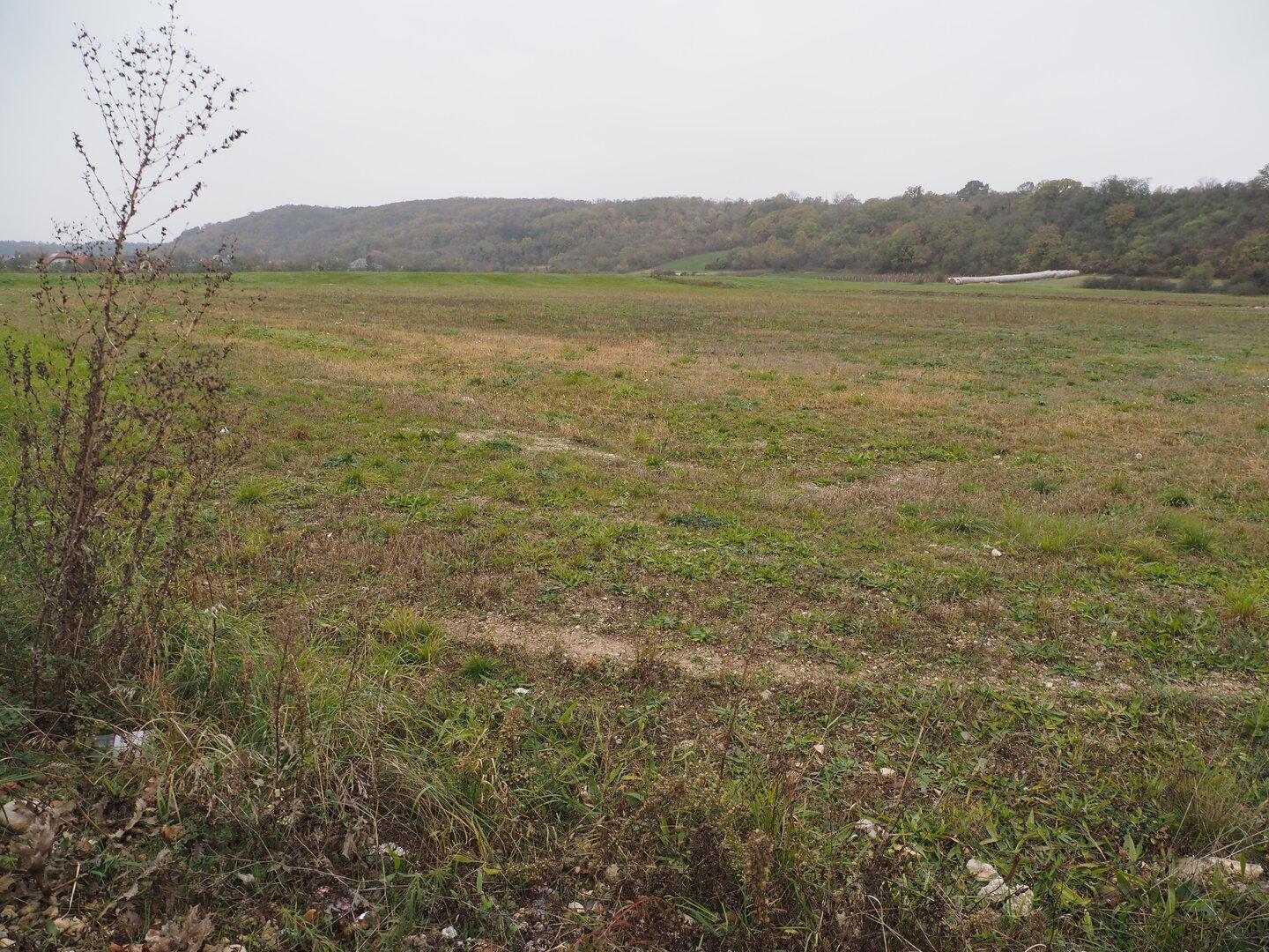 Kljub kritikam se je začela gradnja poslovnega parka na območju nekdanjega ženskega koncentracijskega taborišča v Leobersdorfu