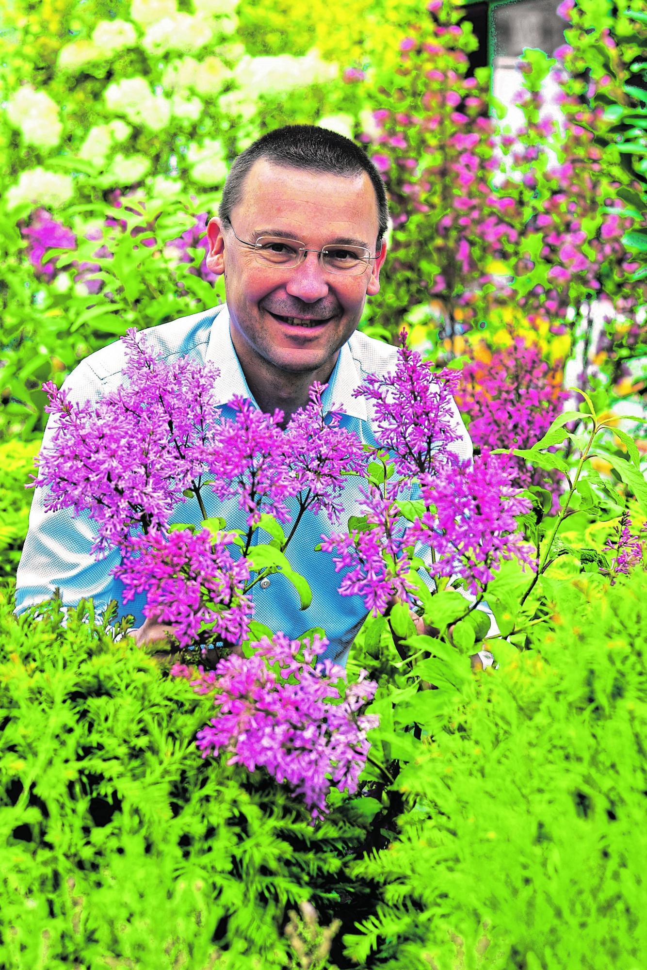 Pilzinvasion im Garten: Sind die Bäume noch zu retten?