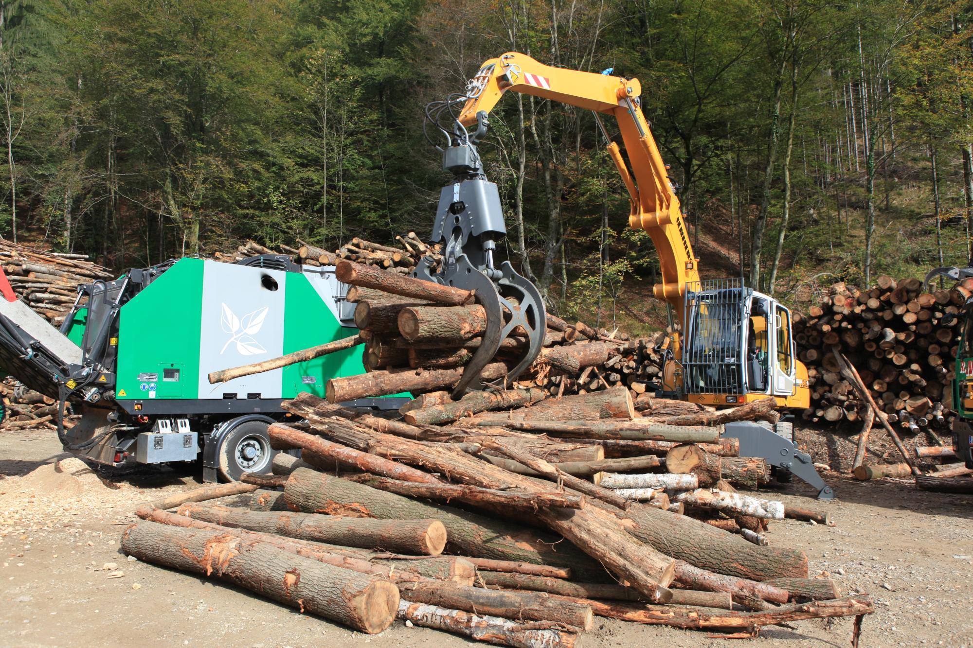 Energie aus dem Wald: Die stille Macht der Biomasse