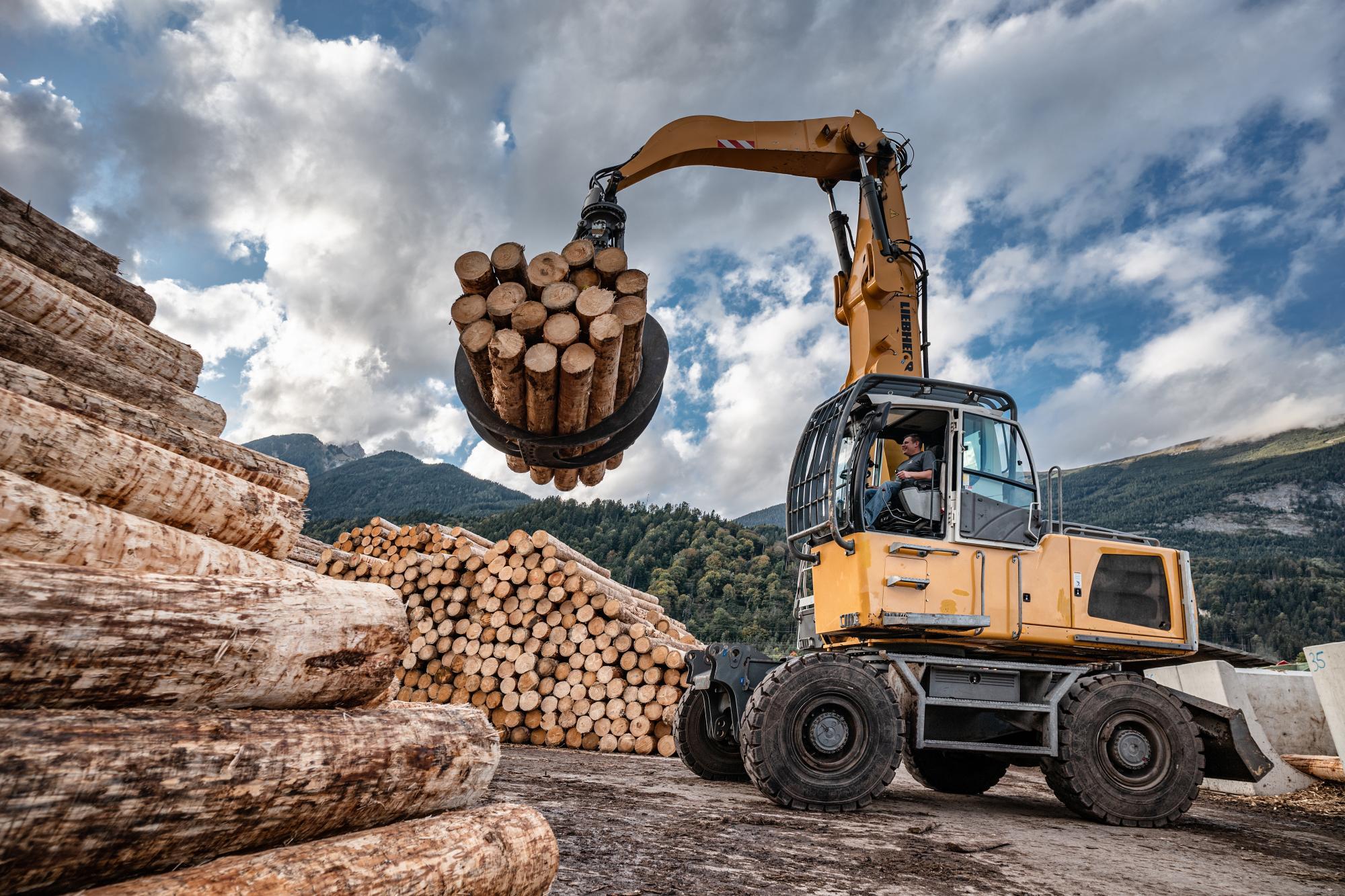 Sägewerke wie Troger Holz aus Tirol sollen künftig mehr junge Bäume verarbeiten